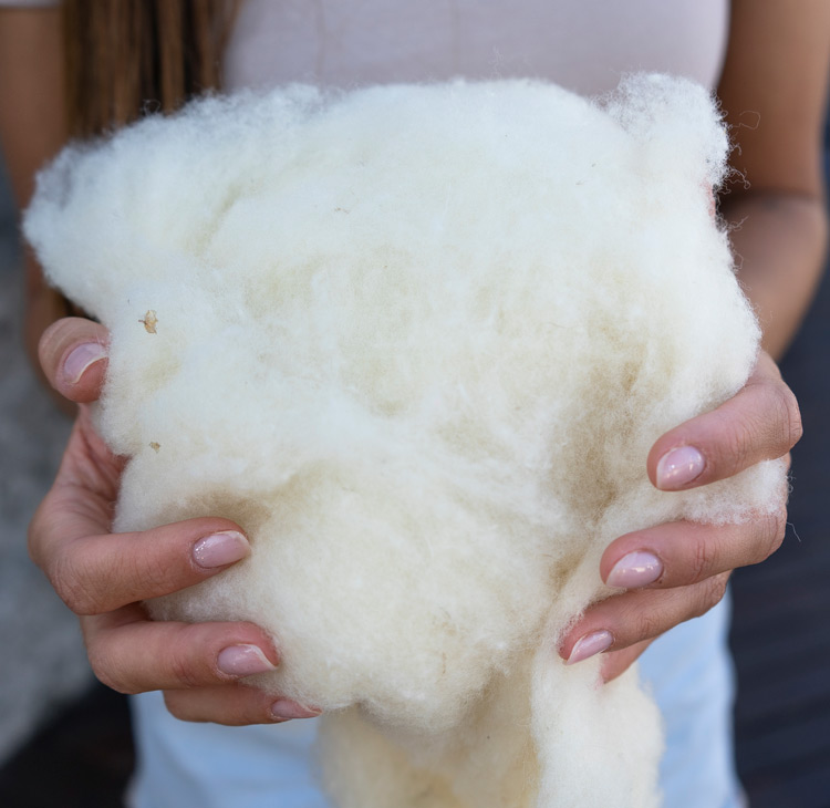 le meilleur oreiller en laine mérinos 100% naturelle et certifiée