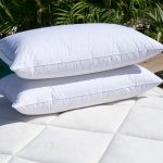 Oreiller en duvet d'oie Deva