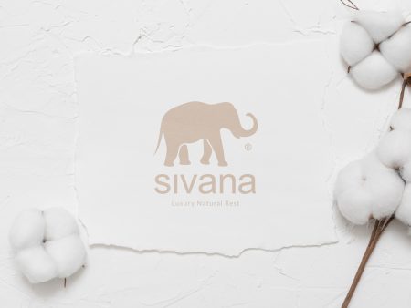 Carte cadeau Sivana