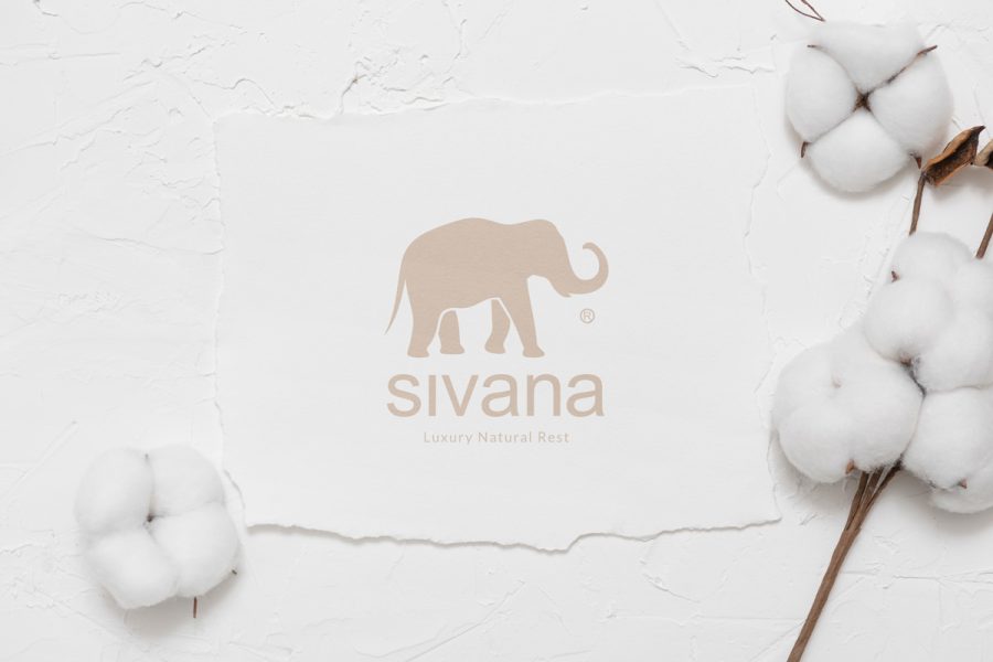 Carte cadeau Sivana