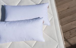 Oreillers de luxe en duvet naturel